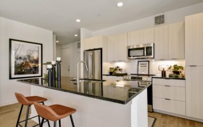 SA1329 – Modern Living in North San Antonio